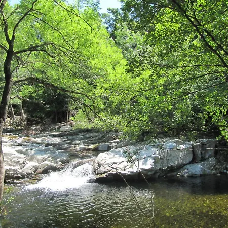 Вилла With Natural River Pool, 15 Mins From Beach *